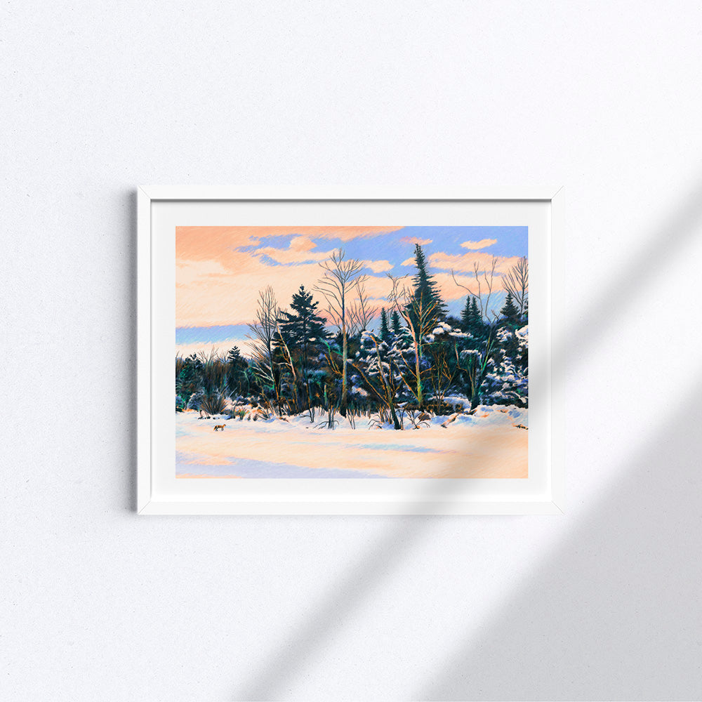 Winter walk