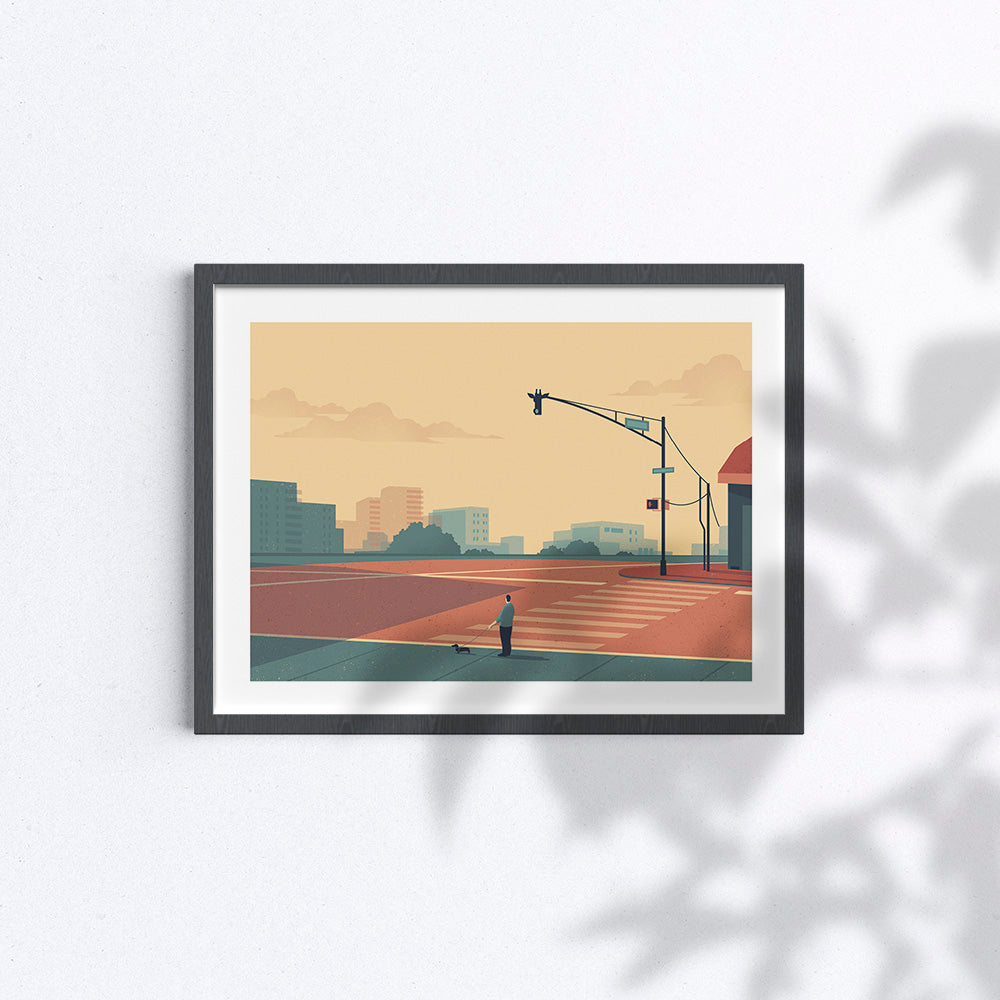 Urban Wildlife / Giraffe