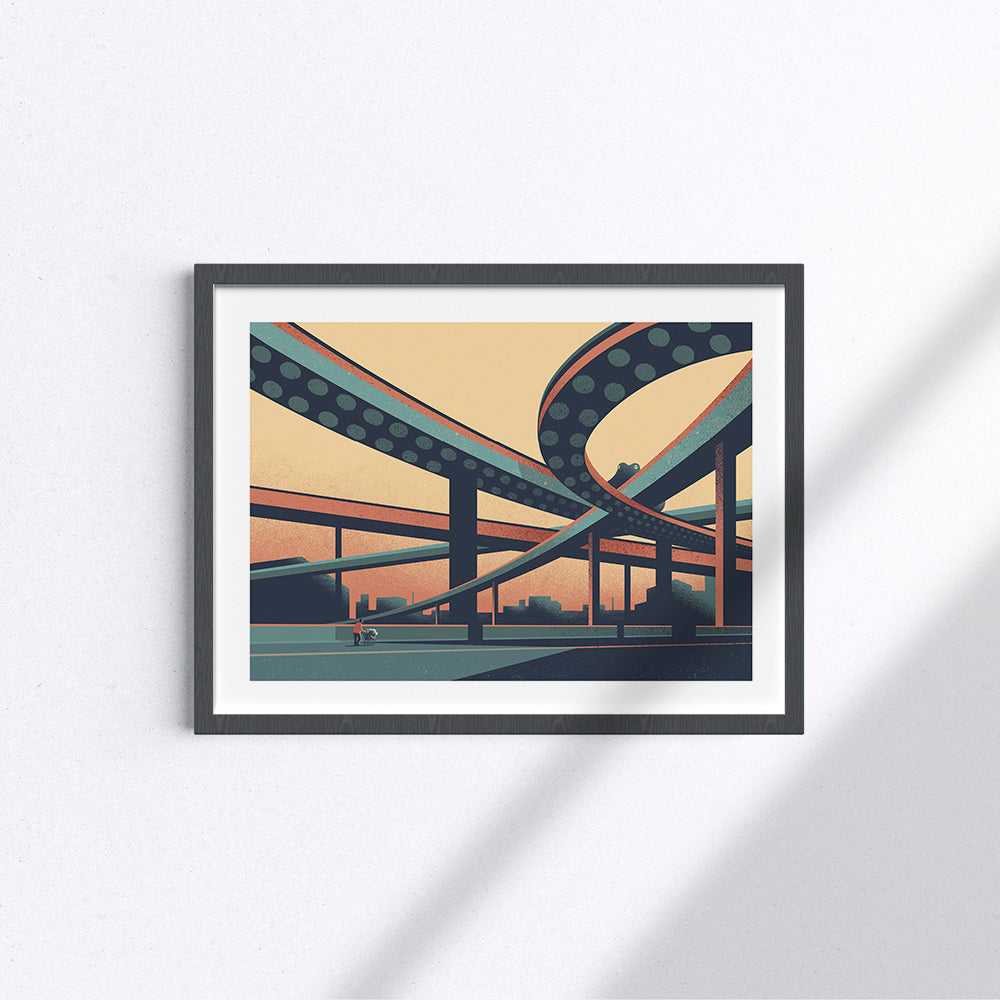 Urban Wildlife / Octopus