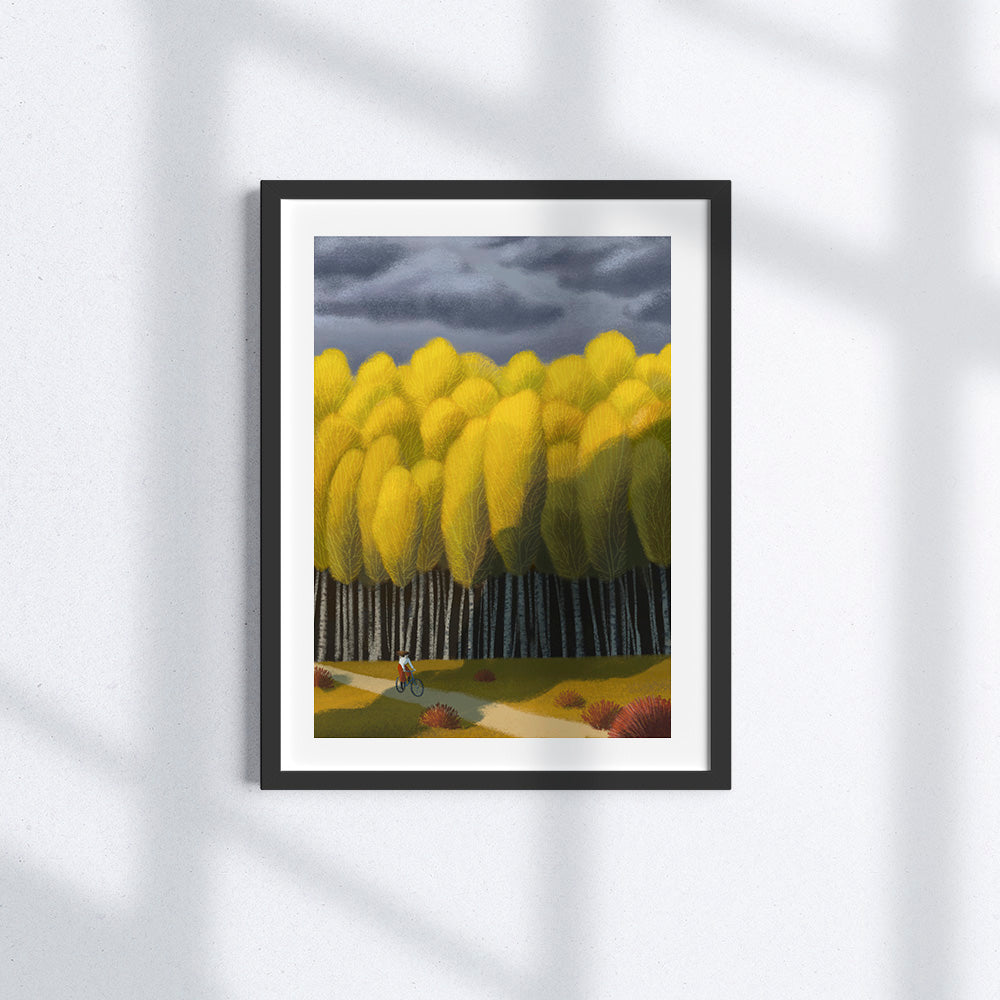 Summer collapsed into Fall