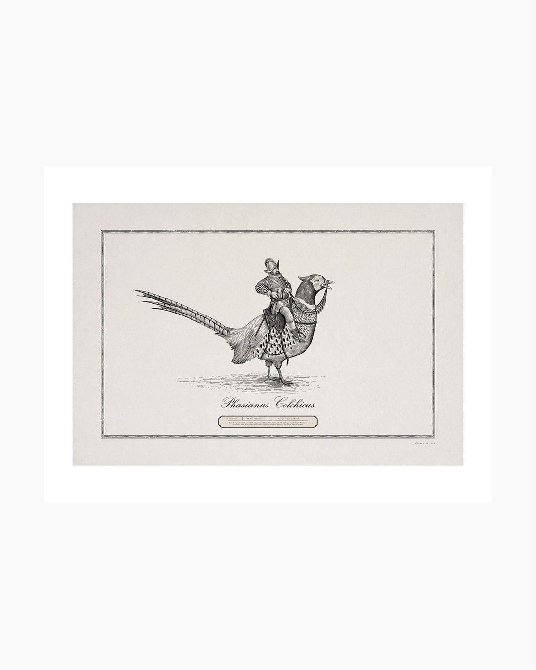 Cavaliere su Fagiano