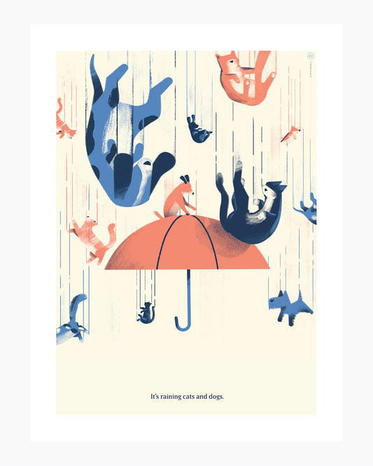 It's Raining Dogs and Cats
