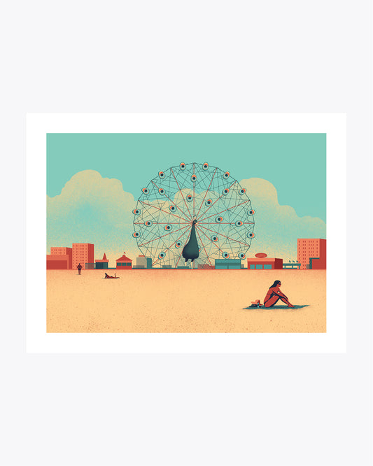 Urban Wildlife / Peacock