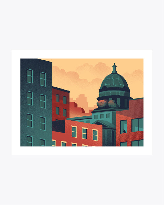 Urban Wildlife / Turtle