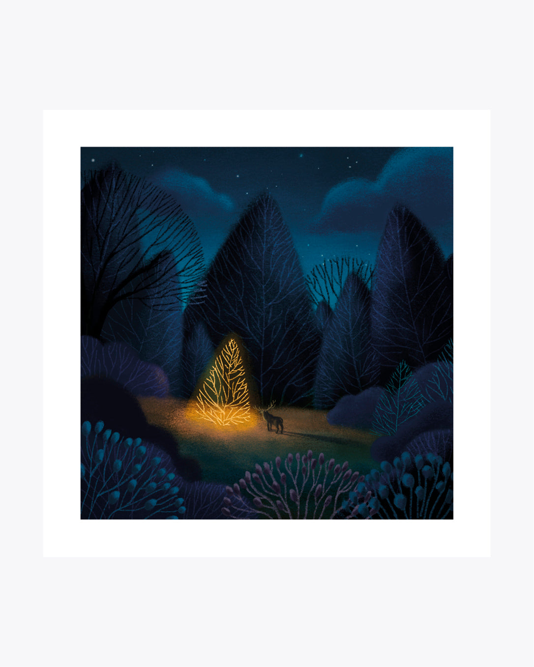 A light in dark places