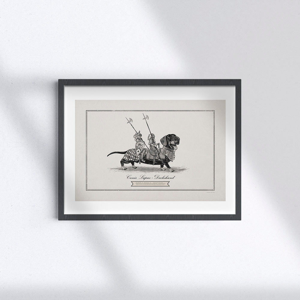 Cavaliere su Bassotto