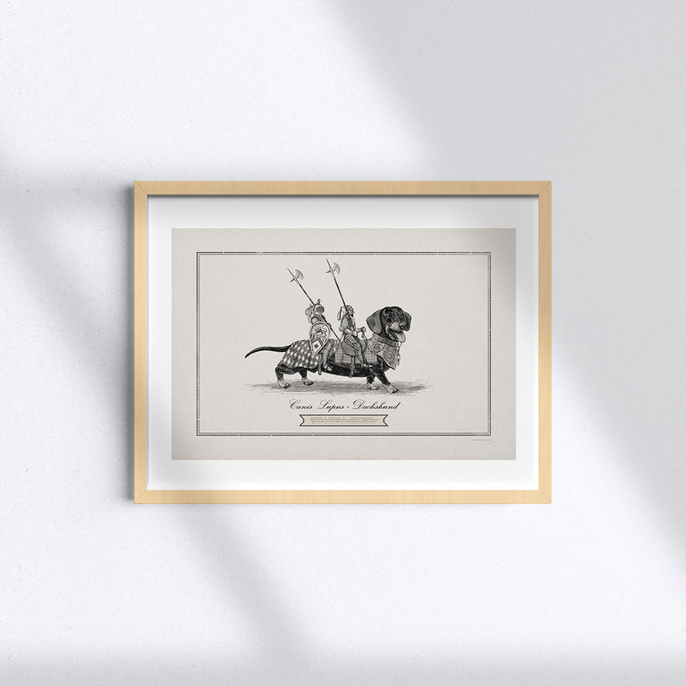 Cavaliere su Bassotto