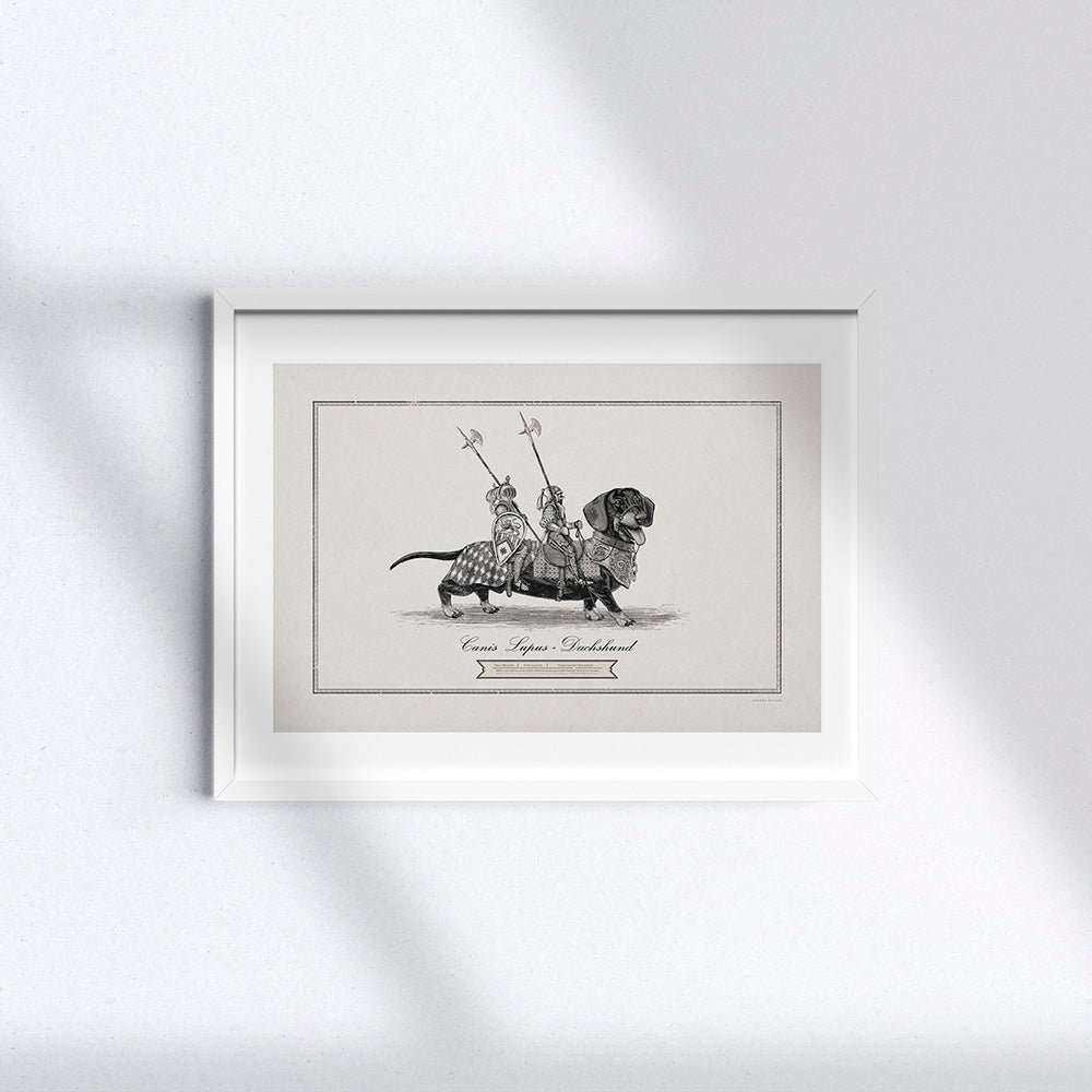 Cavaliere su Bassotto