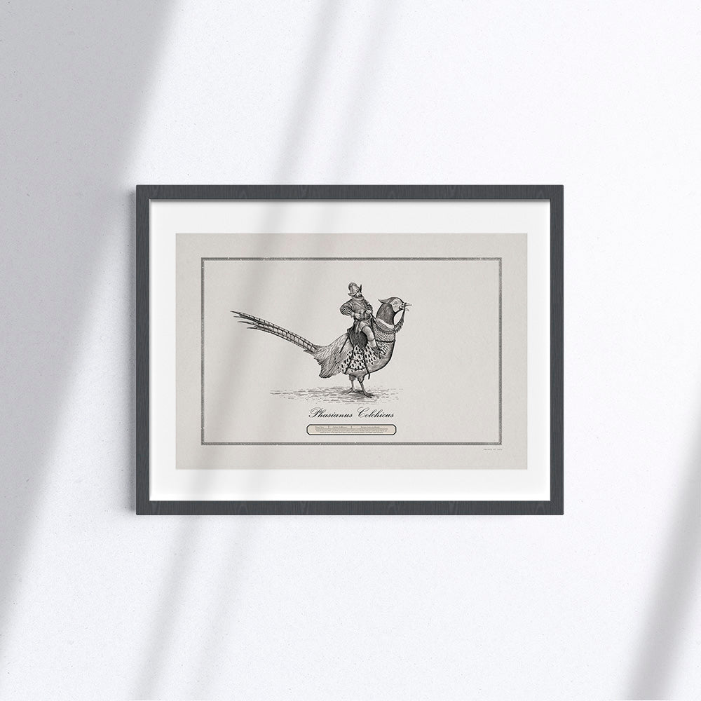 Cavaliere su Fagiano