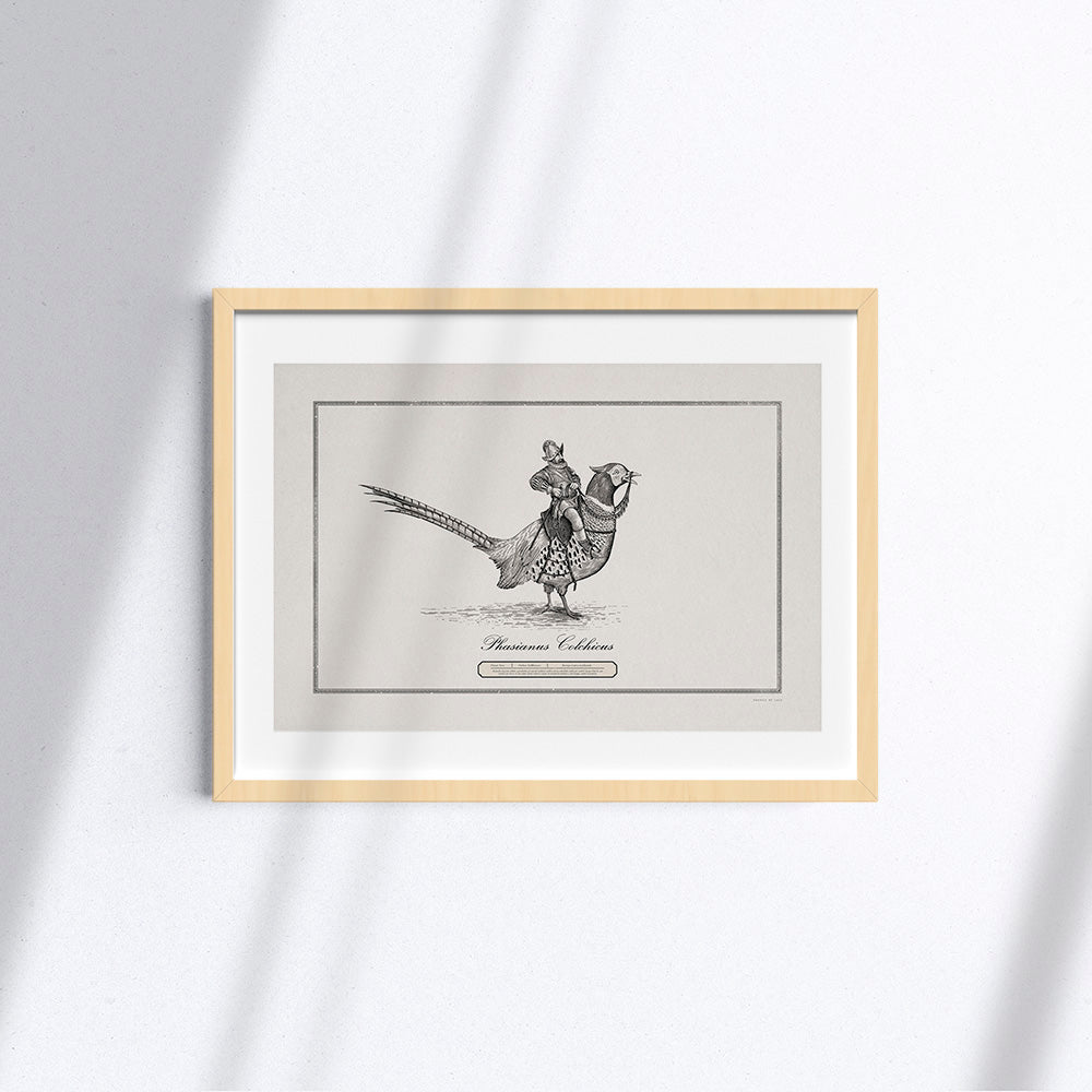 Cavaliere su Fagiano