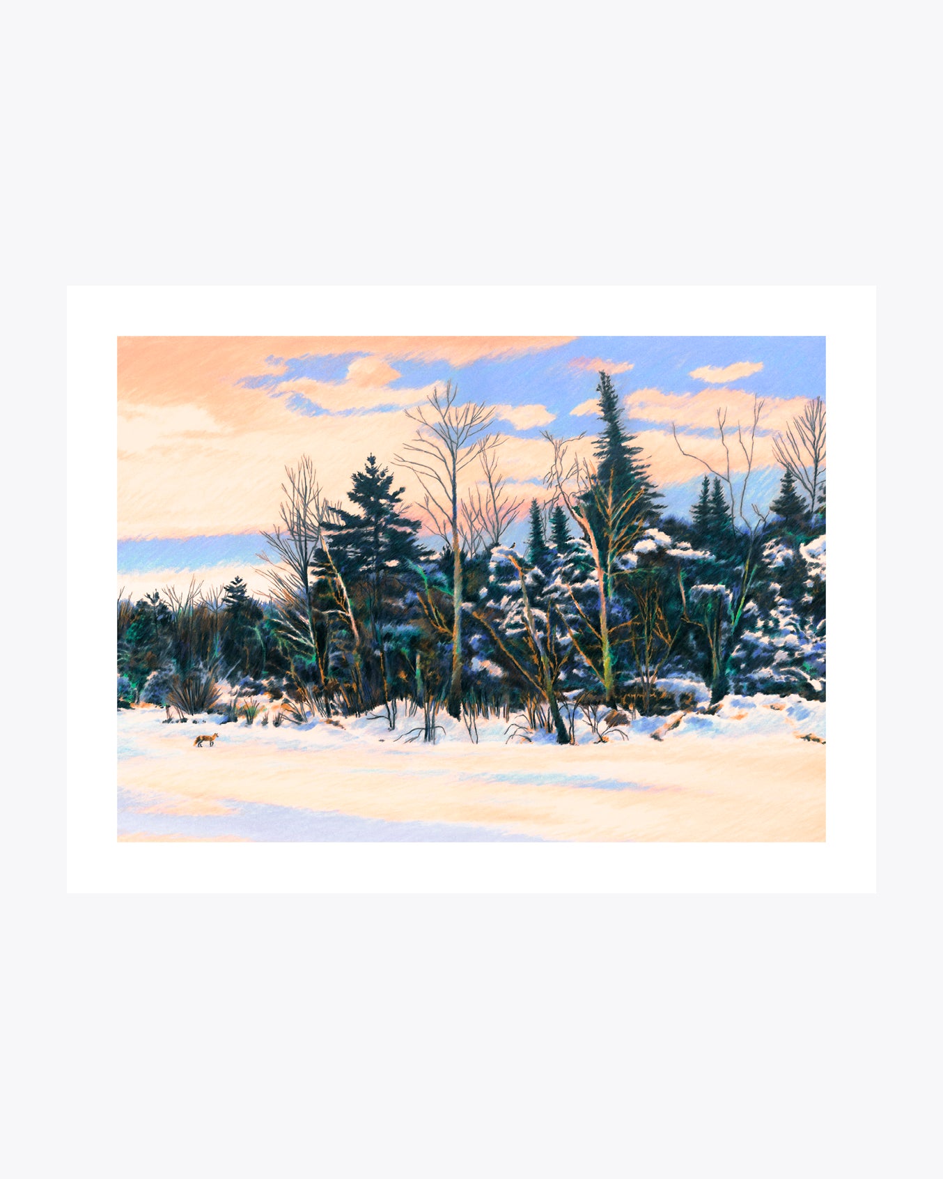Winter walk