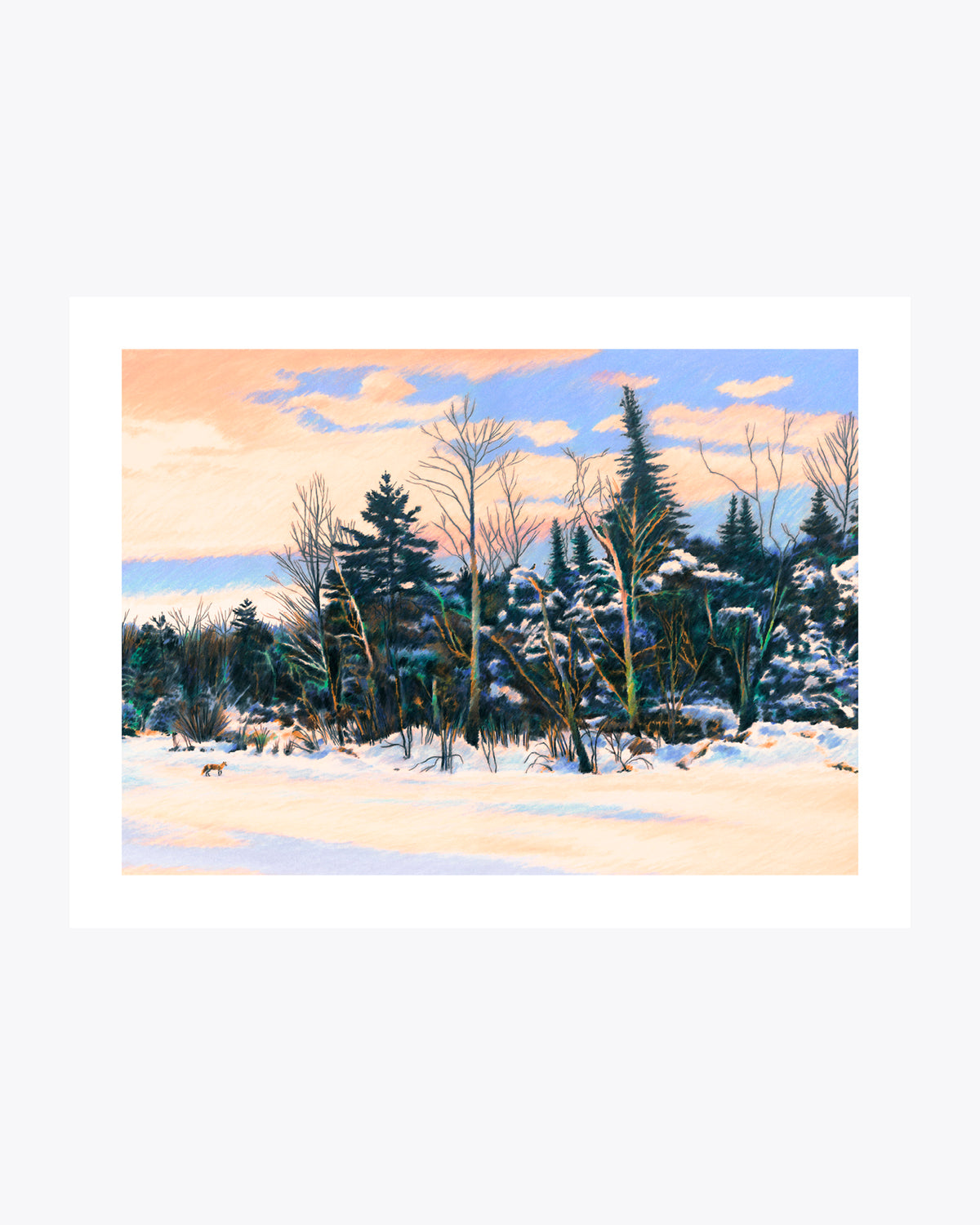 Winter walk