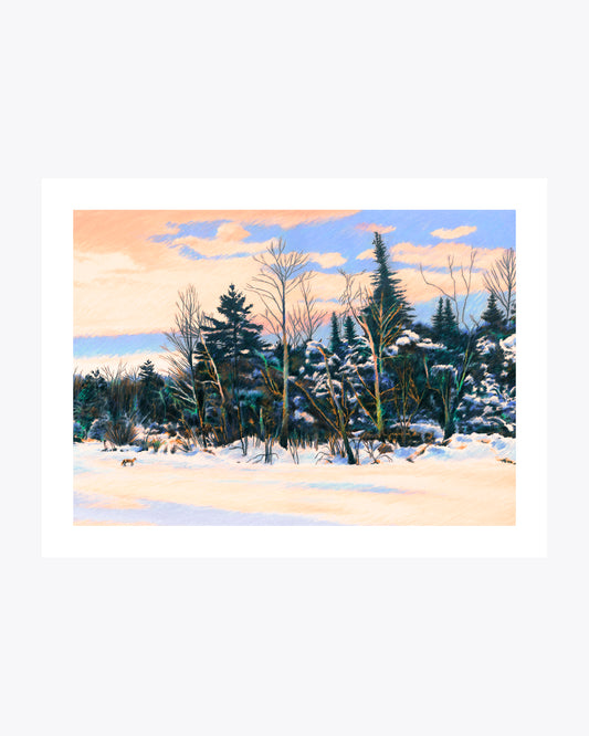 Winter walk