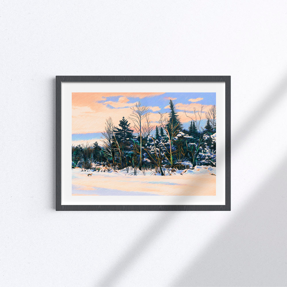 Winter walk