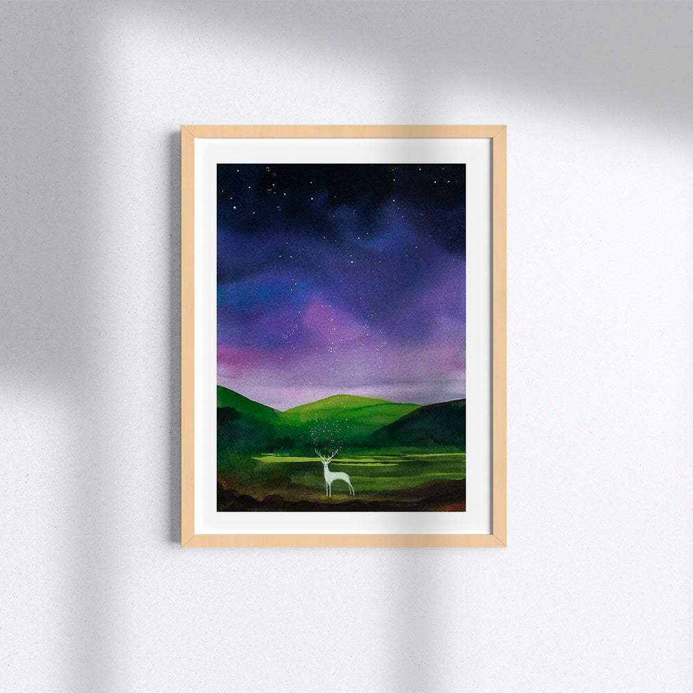 La luce dei sogni