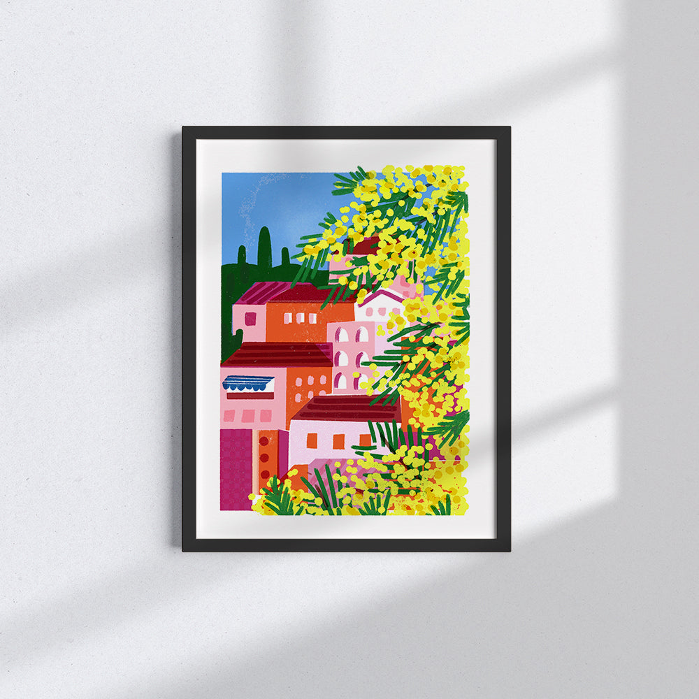 Mimose
