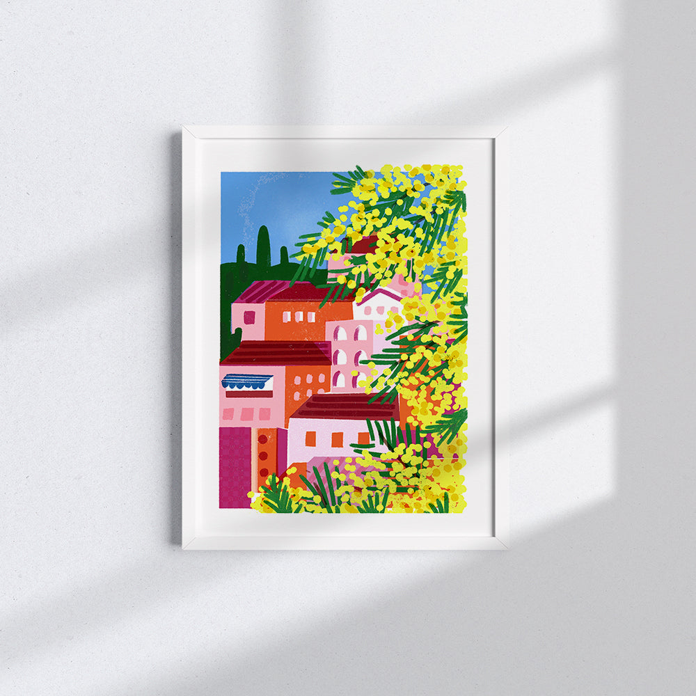 Mimose
