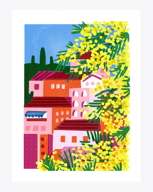Mimose